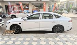 BYD QIN L DM-i